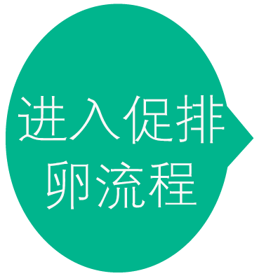 进入促排卵流程