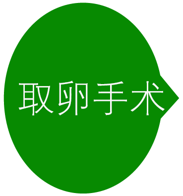 取卵手术